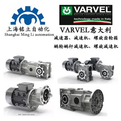 Varvel变速箱RA系列蜗轮变速箱带前级产品