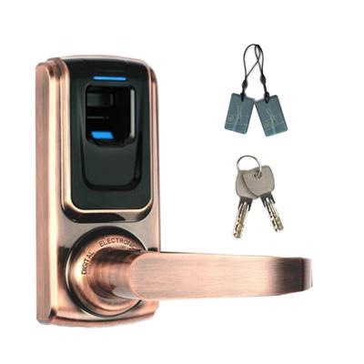 家用智能指纹木门锁 指纹刷卡室内锁 小型国外智能锁
