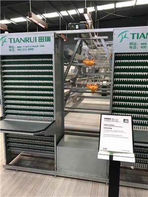 赣州9TLD 系列阶梯式蛋鸡设备规格 技术成熟 产品稳定