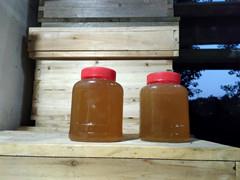 蜜蜂哥哥厂家直销河南土蜂蜜，蜂蜜水什么时候喝对身体好