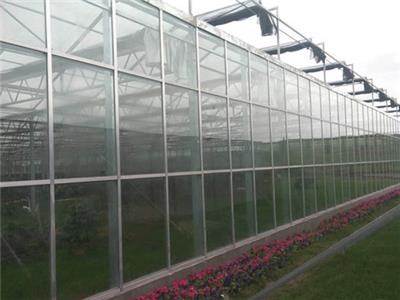 玻璃智能温室大棚建设