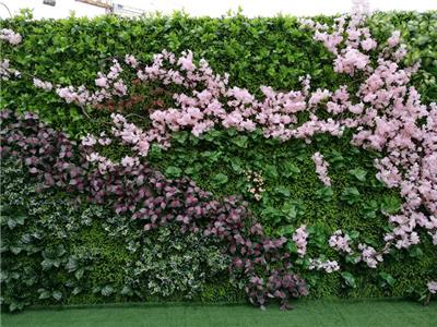 植物墙_仿真植物墙_屋顶绿化公司-西安邦森植物墙公司
