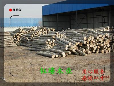 锦州白松木方多少钱一平方米