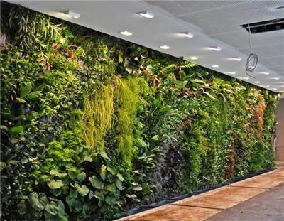 植物墙报价	植物墙价格	绿植布置	餐厅植物墙	模块式植物墙