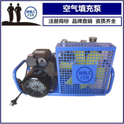 宁德空气填充泵促销 呼吸器充气泵 现货供应