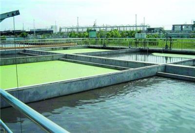 净化污水处理厂家供应 苏州恩比达环保科技供应