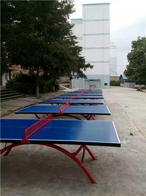 广西河池直销供应批发室内外专业乒乓球台优质价格
