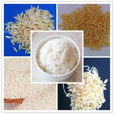 提供配方杂粮营养米生产线厂家 支持订购方便米饭生产线厂家