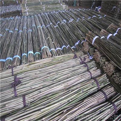 常年供应2.5米、3米菜架竹杆