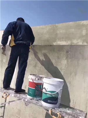 杭州CPC 混凝土防碳化防护涂料公司 防腐防碳化涂料 防水 防腐