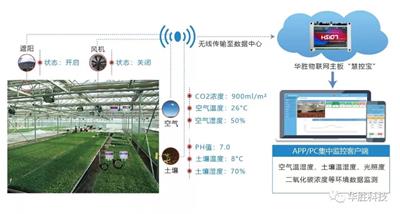 陕西“物联网＋;实现了温室种植的高效和精准化管理