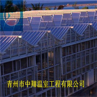 山东厂家供应 大棚骨架 玻璃温室 阳光板温室 质保价优 支持定制
