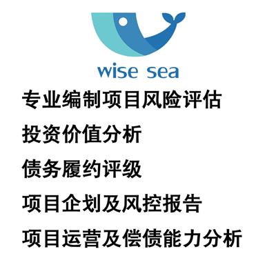 项目投资运营及偿债能力综合分析 投资运营及企业偿债能力分析报告