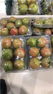 青岛优质预包装西红柿