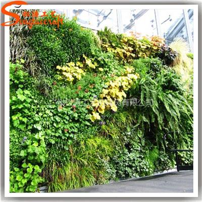 供应高档仿真绿植墙假植物装饰墙人造背景墙五色草造型设计