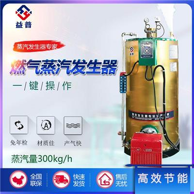 亮普工业厂家直销0.3T燃油蒸汽发生器 PLC控制