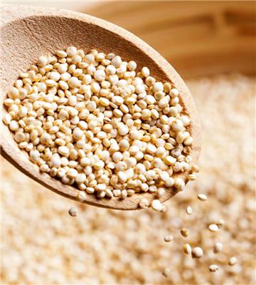 大连藜麦进口流程 藜米进口