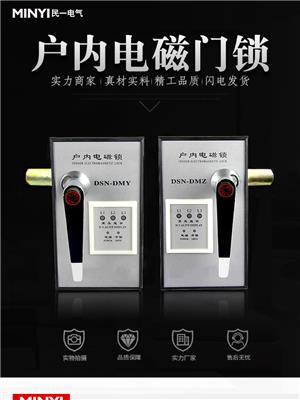 安徽DSN-AMY电磁锁厂家 高压电磁门锁 实力大厂家