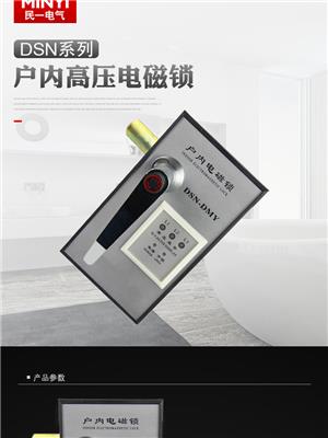 安庆DSN-AMY电磁锁厂家 户内高压电磁门锁 批发零售