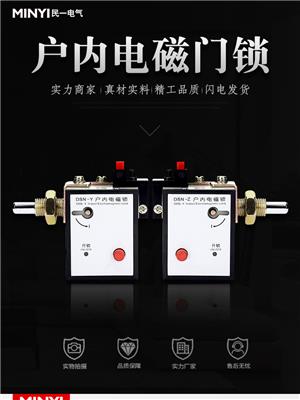 漳州DSN-BMY电磁锁 户内高压电磁门锁 现货供应