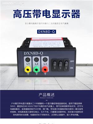 供应DXN8D-Q高压带电显示器厂家