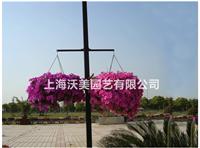 上海沃美花箱厂家供应PVC弧形马槽道路隔离花箱