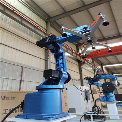 工业六轴搬运机器人 自动化设备专业品质厂家质保