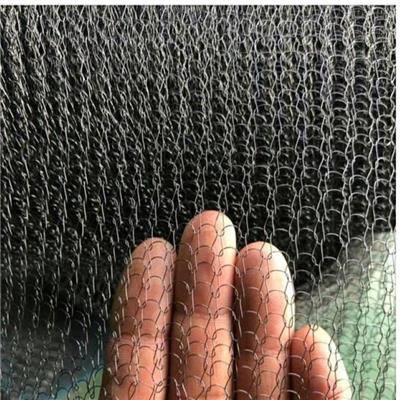 钛丝汽液过滤网 钛2材质 汽液过滤网生产厂家