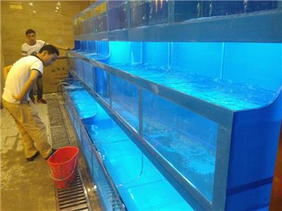 广州海鲜池清洗消毒价格 假山鱼池清洗消毒 年底大优惠