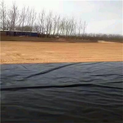 玻纤土工格栅双向土工格栅沥青路面用批发价供应玻纤土工格栅