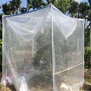 厂家批发防虫网脐橙种植必用防虫害控制室温预防落果经济划算