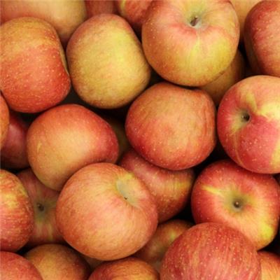 凯源现货 苹果多酚50% 苹果提取物 苹果多酚原料粉