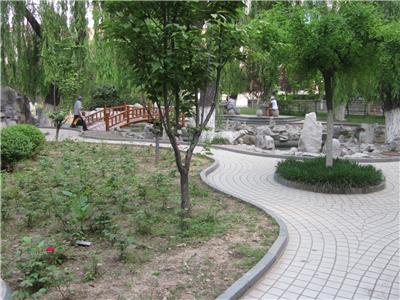青岛园林绿化服务建设