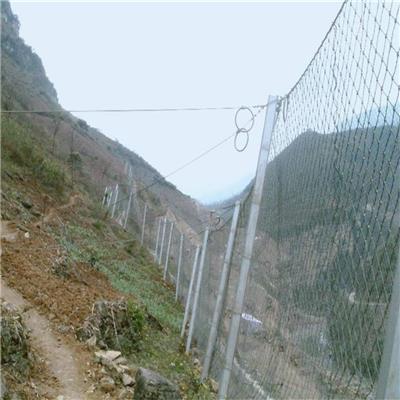 被动边坡防护网价格 养殖围栏用网