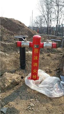 辽宁快速开启室外地上式泡沫消火栓厂家定制加工 防撞防冻泡沫栓价格型号 SSP100/65-1.6