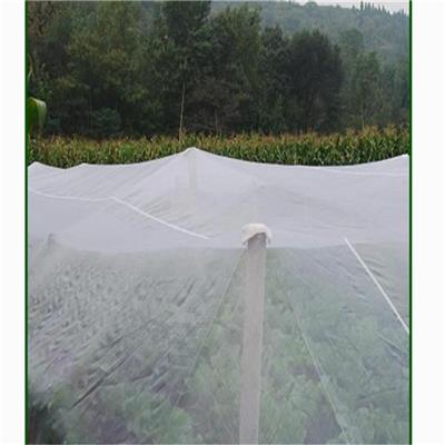 纯料的加厚的大宽幅的可拼接豆虫养殖网防冰雹耐用特抗晒