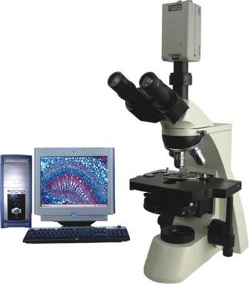 高档型相差显微镜BPH-300