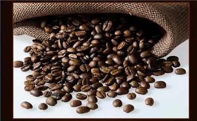 意式咖啡供应新鲜烘焙咖啡批发零售 厂家直销
