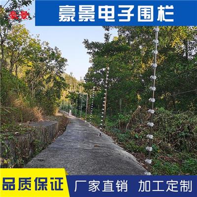阳江电子围栏工程品牌 东莞别墅电子围栏案例