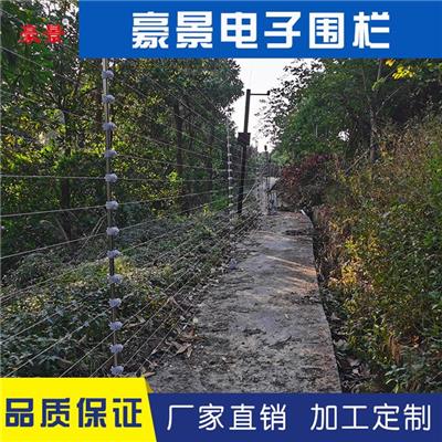 重庆校园触网电子围栏 双防区脉冲高压电子围栏主机