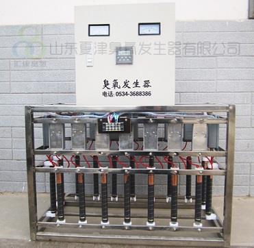 合肥-芜湖-蚌埠空调机组内置式臭氧发生器臭氧机