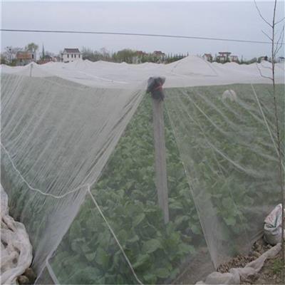 纯新料的韧性大的防护网豆虫养殖网耐晒可拼接大网片好用结实