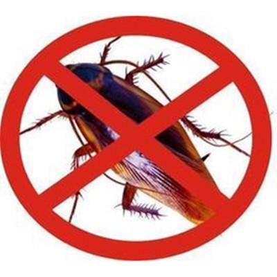 泰安市区各县市区上门灭老鼠灭蟑螂灭蚂蚁