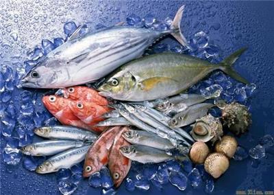 广西巴沙鱼海鲜进口报关案例 进口海鲜清关 节省清关成本
