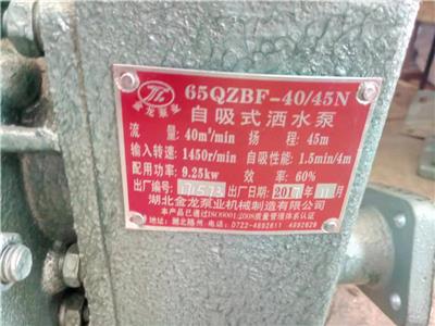 洒水车的洒水泵 小水泵生产厂家