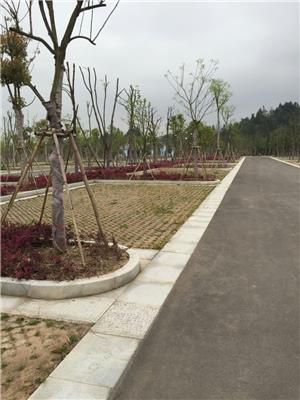 滁州高承载植草地坪模具厂家直供专业施工夜光漫道