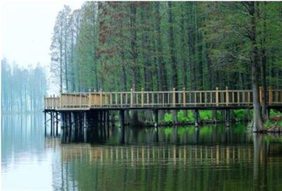 北京森林公园创A公司排名 康养旅游建设规划
