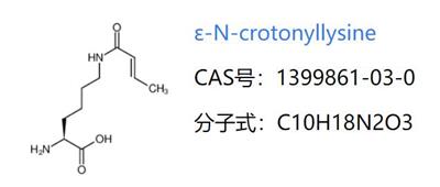 ε-N-Crotonyllysine,ε-N-巴豆酰基赖氨酸,1399861-03-0