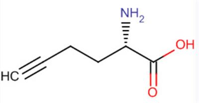S-2-氨基-5-酸,98891-36-2,L-Homopropargylglycine HPG