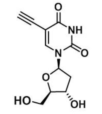 5-Ethynyl-2-deoxyuridine ,5-基-2-脱氧尿苷,61135-33-9